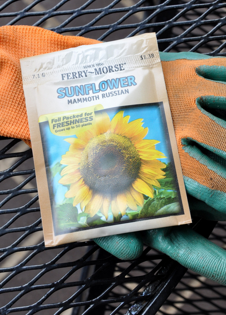 sunflower seeds