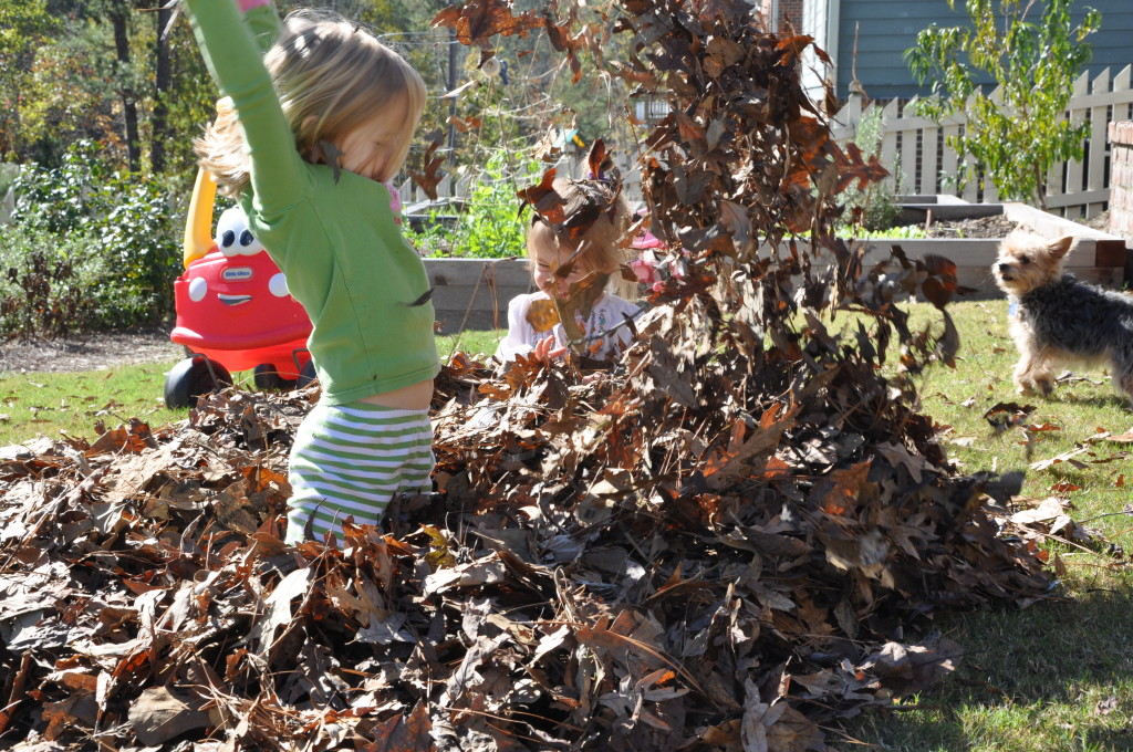 leaf diving