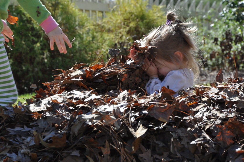 leaf love