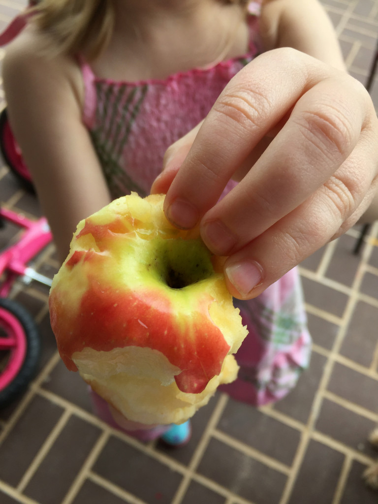 No, I do not care to finish your half-eaten apple.