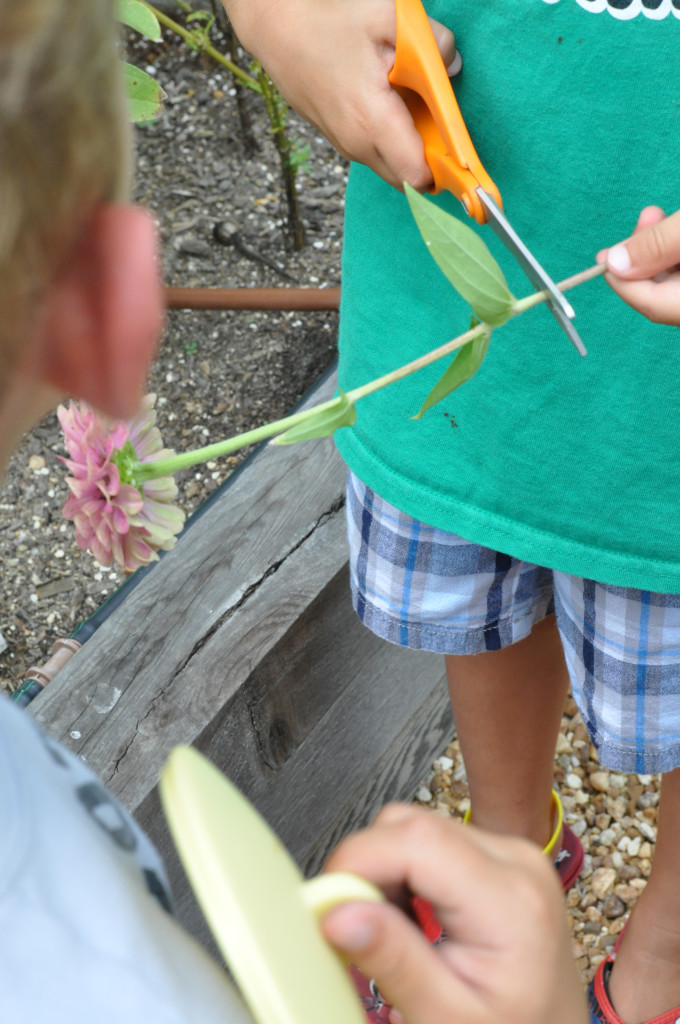 flower pickin