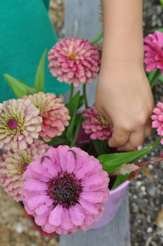 flowers