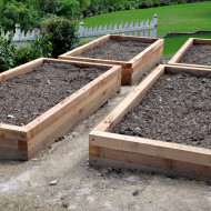 Raised beds!  Raised beds!