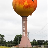 Everything I never knew about: Peach Trees